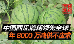 佛山吃瓜爆料是真的吗,真相揭秘，是真是假？